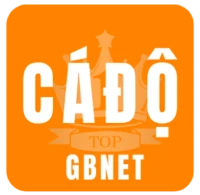 TOP 10+ Trang Cá Độ Bóng Đá Online Uy tín