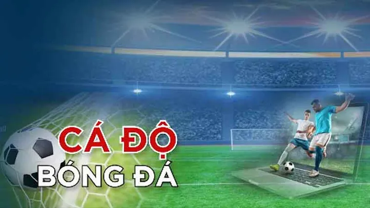 Bật Mí Top 12+ Trang Cá Độ Bóng Đá Uy Tín Nhất Hiện Nay