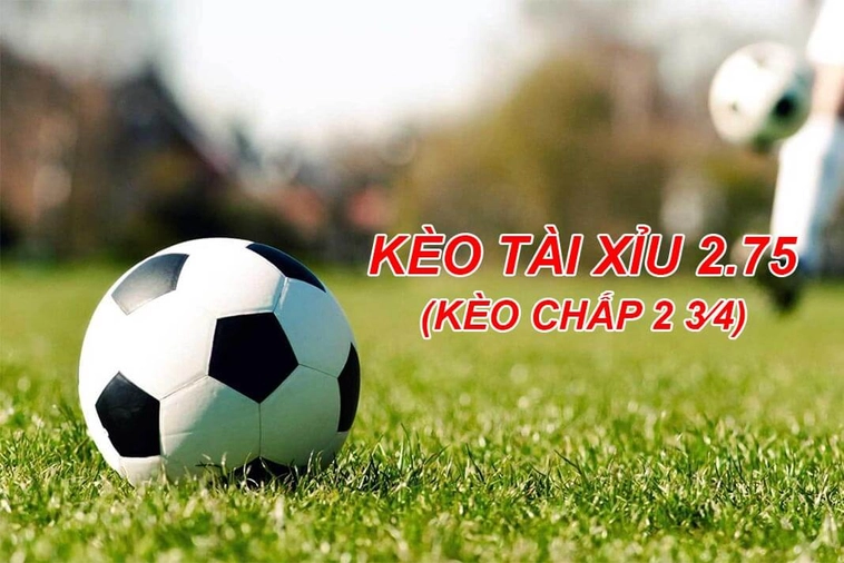 Bí Quyết Soi Kèo 2.75 Luôn Thắng Từ Kinh Nghiệm Của Các Bậc Tiền Bối