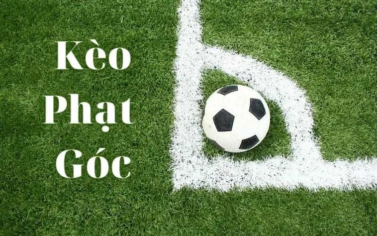 Bí Quyết Soi Kèo Phạt Góc Bóng Đá Hiệu Quả Cho Nhà Đầu Tư Chuyên Nghiệp