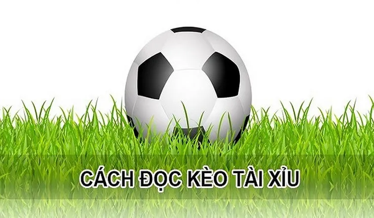 Bí Quyết Soi Kèo Tài Xỉu Bóng Đá Hiệu Quả Từ Chuyên Gia Lão Luyện