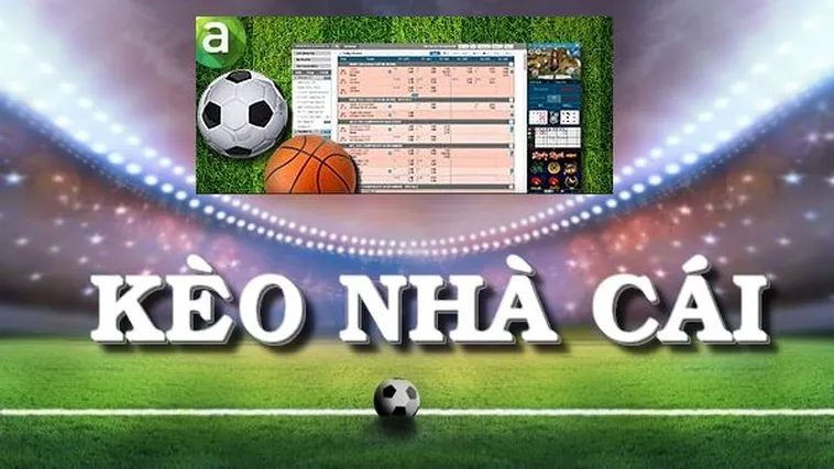 Bí Quyết Soi Kèo Bóng Đá Hiệu Quả Từ Những Chuyên Gia Hàng Đầu