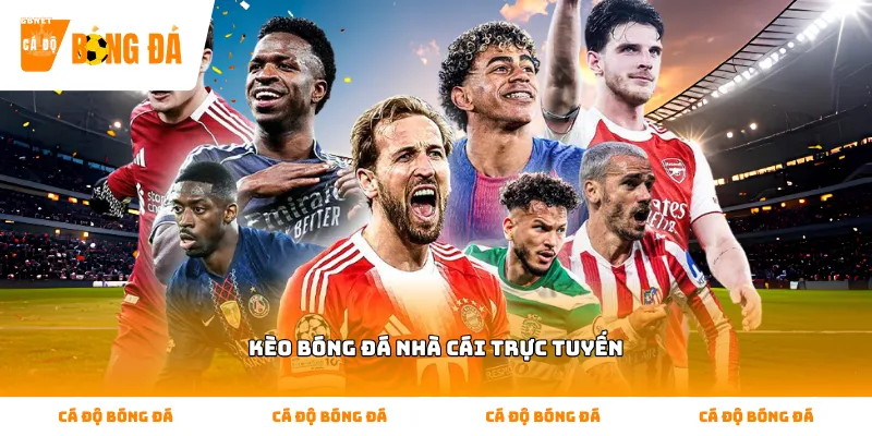 Kèo bóng đá nhà cái trực tuyến và cách đọc tỷ lệ cho người mới