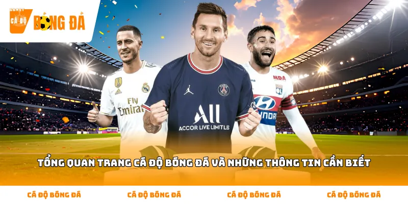 Tổng quan trang cá độ bóng đá và những thông tin cần biết